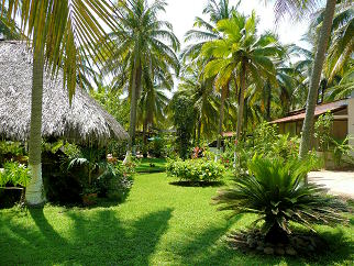 Palapa, gardens and bungalows